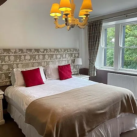 Inn The New 3*