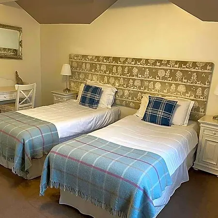 The New Inn