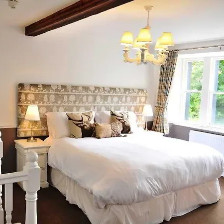 Inn The New